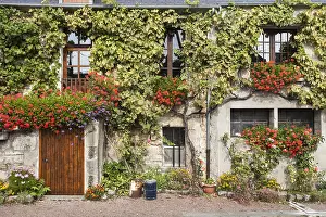 Facade: A facade of an old French house overgrown with