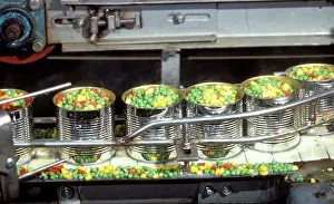 Factories: Factory operations - Canning mixed vegetables