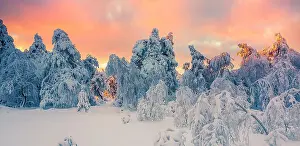 Plans: Fagne landscape under the snow, Ardennes, Belgium