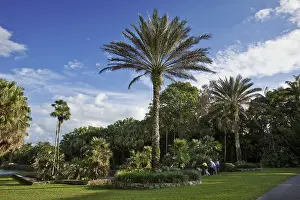 Botanic: Fairchild Botanic Garden