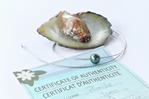 Quality: Fake pearls can be polished when quality of their