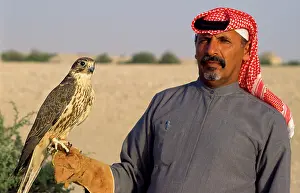 Owner: FALCONRY - Falcon being held by Bedouin