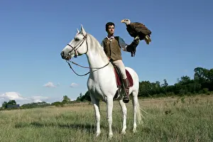 Falconry: Falconry - man on horse with Fish Eagle