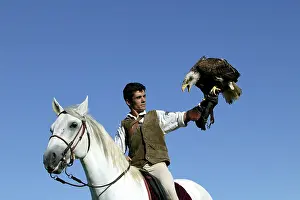 Falconry: Falconry - man on horse with Fish Eagle