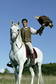 Falconry: Falconry - man on horse with Fish Eagle