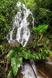 Humidity: Fall in Cloudy forest, Mindo, Ecuador