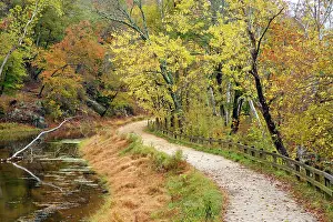 Pathway: Fall color along the old C & O Canal, C