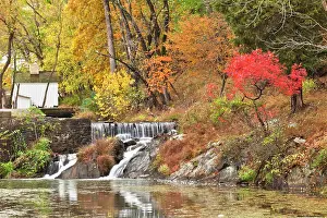 Pathway: Fall color along the old C & O Canal, C