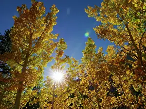 Nevada: Fall, Eastern Sierras, Bishop, California