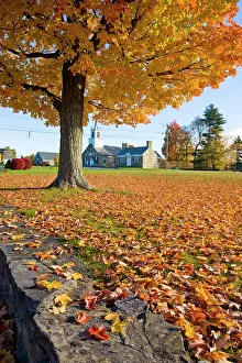 Jerry: Fall foliage in downtown Chesterfield, New