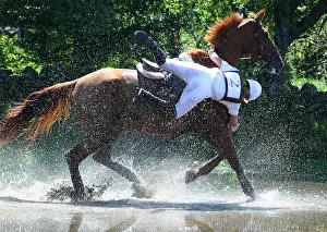 Spatter: Fall of horse in a horse to Nasbinals Lozere