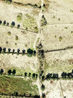 Granada: Fallow land. Aerial view. Drone shot. Granada province