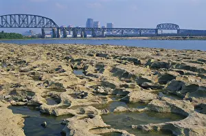 Indiana: Falls of the Ohio State Park
