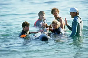 Rescues: False Killer Whale - rescue