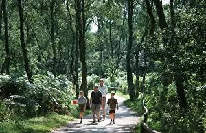 Familes: Family walking in forest