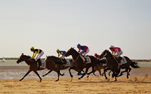 Famed: The famous horse races of Sanlucar de Barrameda