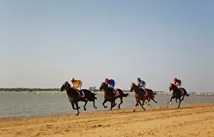 Famed: The famous horse races of Sanlucar de Barrameda