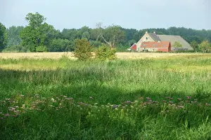 Zeeland: Farm De Rode Hoeve anno 1816 in former tidal creek area of Z