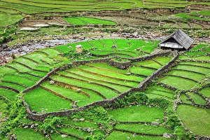 Terraces: Farm shed in rice field terraces. Near Sapa, Vietnam, Asia
