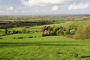 Stratford: Farm - Typical sheep farm at foot of Cotswold escarpment