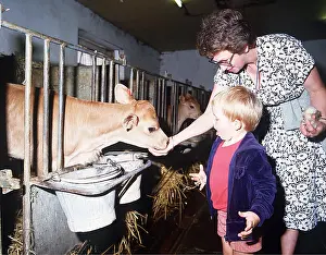 Barns: FARM VISIT - feeding calf