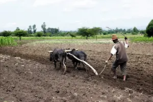 Ploughing: Farmer - ploughing field