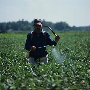 Worker: Farmer spraying a crop of Soybean (Glycine max)