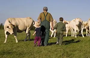 Surveillance: Farmer watching his cattle with his grand children