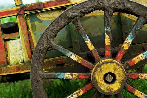 Arty: Farmers brightly painted cow cart - Minahasa highlands