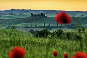 Tuscany: Farmhouse and cypresses, San Quirico d'Orcia, Val d Orcia