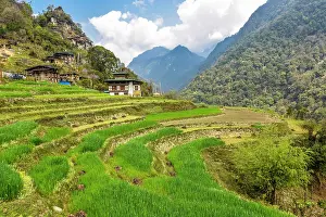 Mounta: Farmhouse with rice fields in mountain landscape