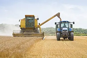 Combine: Farming - Combine Harvester and Tractor - Wheat harvest