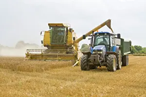 Combine: Farming - Combine Harvester and Tractor - Wheat harvest