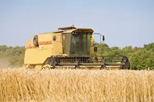Combine: Farming - Combine Harvester - Wheat harvest