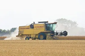 Combine: Farming - Combine Harvester - Wheat harvest