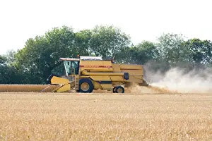 Combine: Farming - Combine Harvester - Wheat harvest