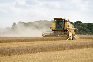 Combine: Farming - Combine Harvester - Wheat harvest