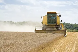 Combine: Farming - Combine Harvester - Wheat harvest
