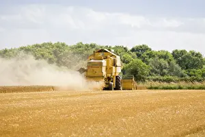 Combine: Farming - Combine Harvester - Wheat harvest