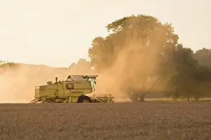 Combine: Farming - Combine Harvester - Wheat harvest at sunset