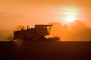 Combine: Farming - Combine Harvester - Wheat harvest at sunset
