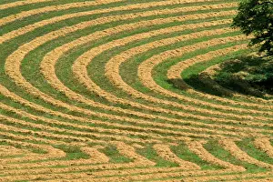 Ploughed: Farming - contoured, rough-ploughed fields