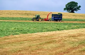 Anthony Harrison: Farming - cutting for sileage