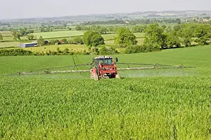 Chemicals: Farming - Farmer on red tractor spraying cereal crop