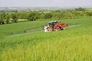 Chemicals: Farming - Farmer on red tractor spraying cereal crop