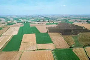 Fens: FARMING - Fen farmland