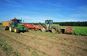 Tractors: Farming - harvesting potatoes