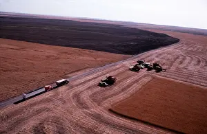 Vehicles: Farming - Harvesting Wheatfields