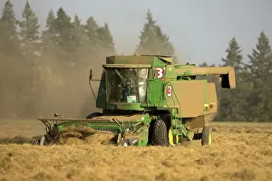 Baled: Farming - Hay being baled - late Summer