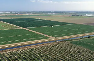 Encroachment: Farming Near Everglades